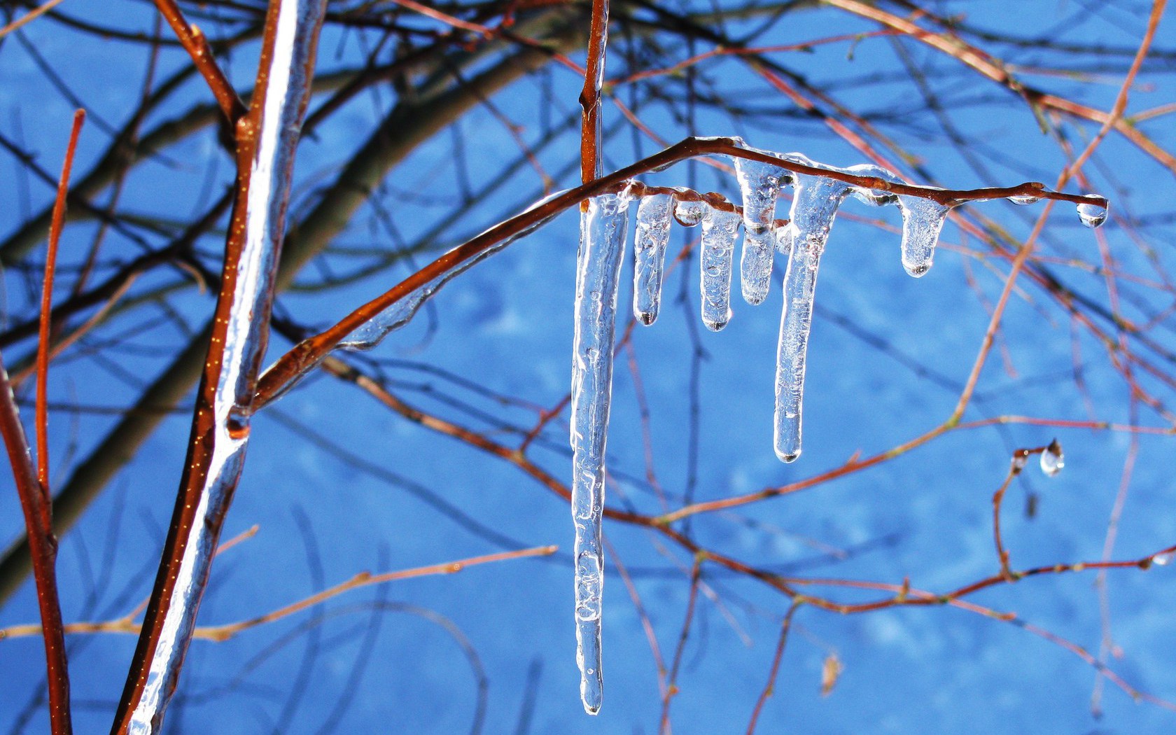 Дожди, туманы и потепление до +12 градусов: синоптики рассказали о погоде в Украине на неделю