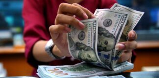 Курс доллара в начале недели вырос: сколько стоит валюта в банках и обменниках накануне Нового года - today.ua