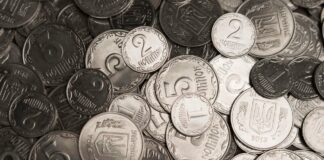 В Украине за монету номиналом в 1 копейку можно получить 30 тысяч гривен: в чем ее особенность - today.ua