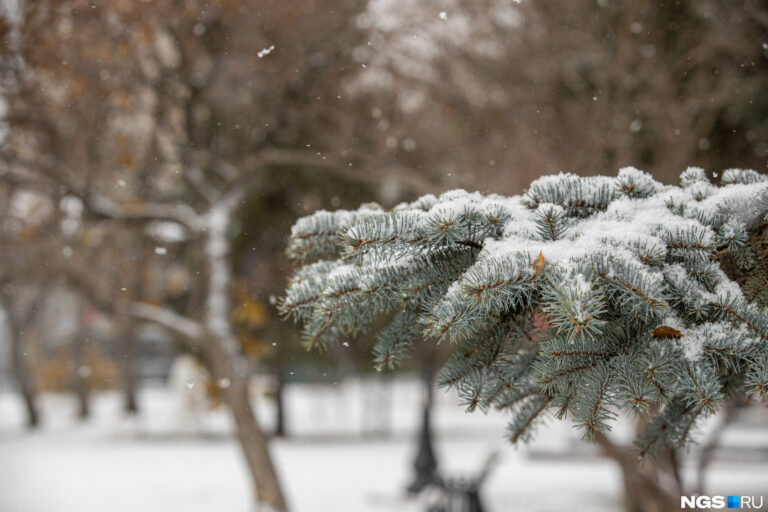 Снег, гололед и перепады температур: синоптики предупредили о неблагоприятной погоде на ближайшие дни - today.ua
