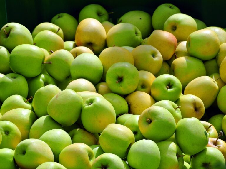 В Украине начали дешеветь яблоки: как изменились цены на зимние сорта в супермаркетах - today.ua