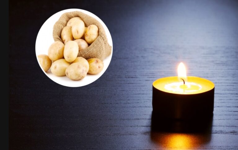 Как изготовить свечу из картофеля, которая будет гореть до 6 часов - today.ua