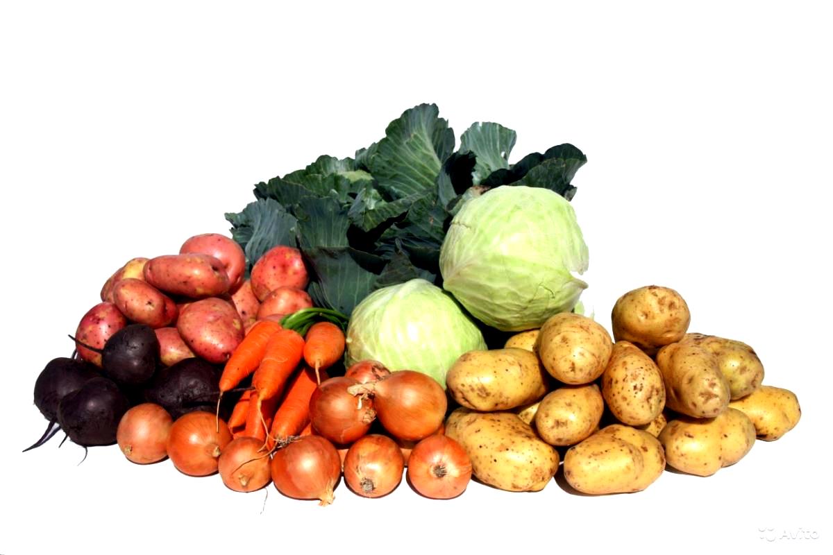 В Україні подешевшали картопля, цибуля, морква та капуста: ціни на овочі на початку квітня 