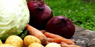 Ціна на овоч із борщового набору за місяць впала на 40 гривень - today.ua