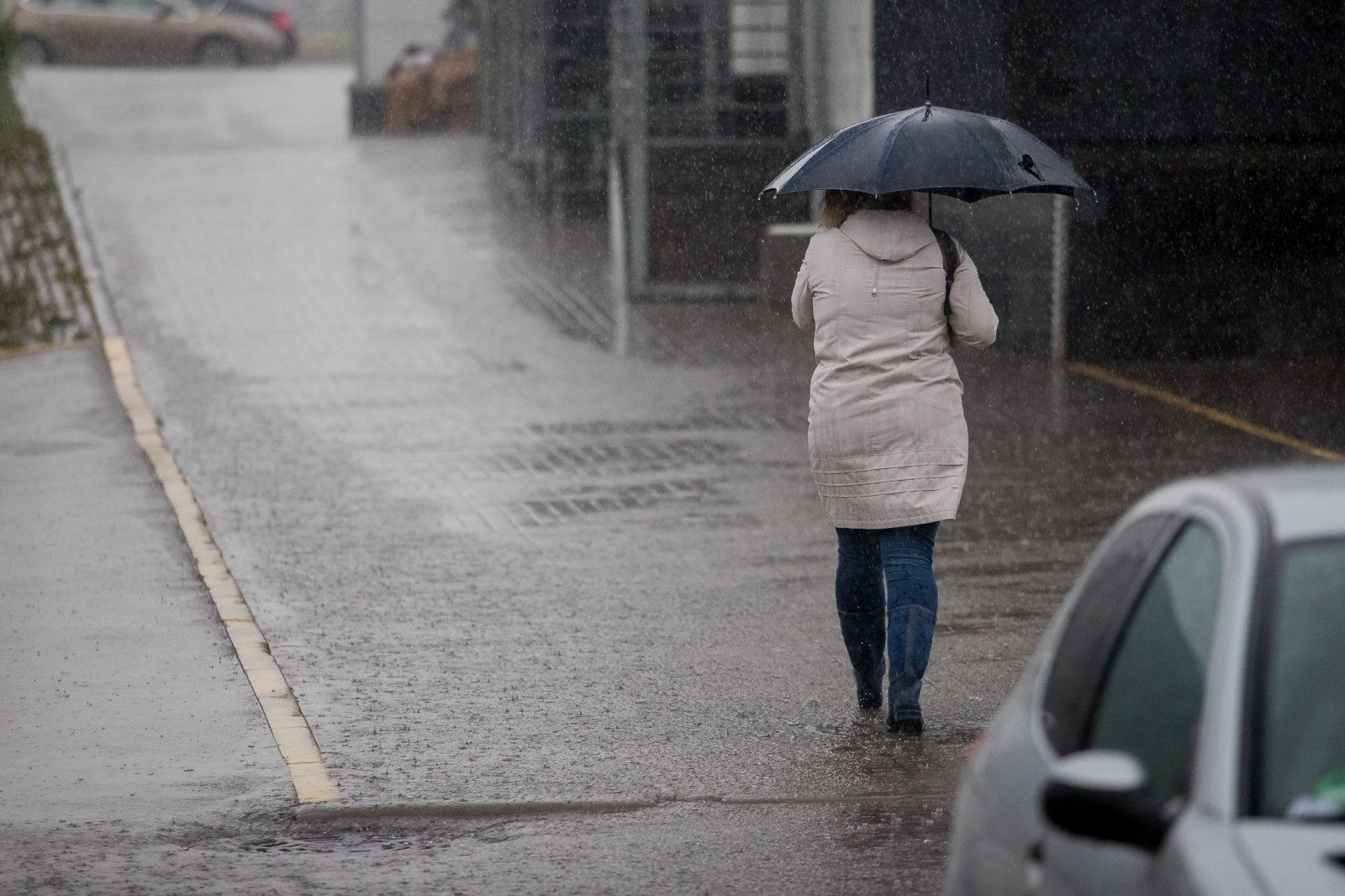 Аномальное потепление и дожди: синоптики дали прогноз погоды на январь 2023 года
