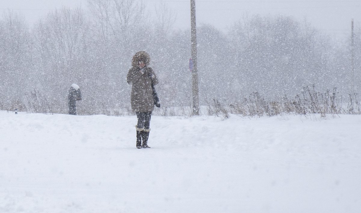 Украину накроют дожди и снегопады в середине недели: синоптики рассказали, когда придет потепление