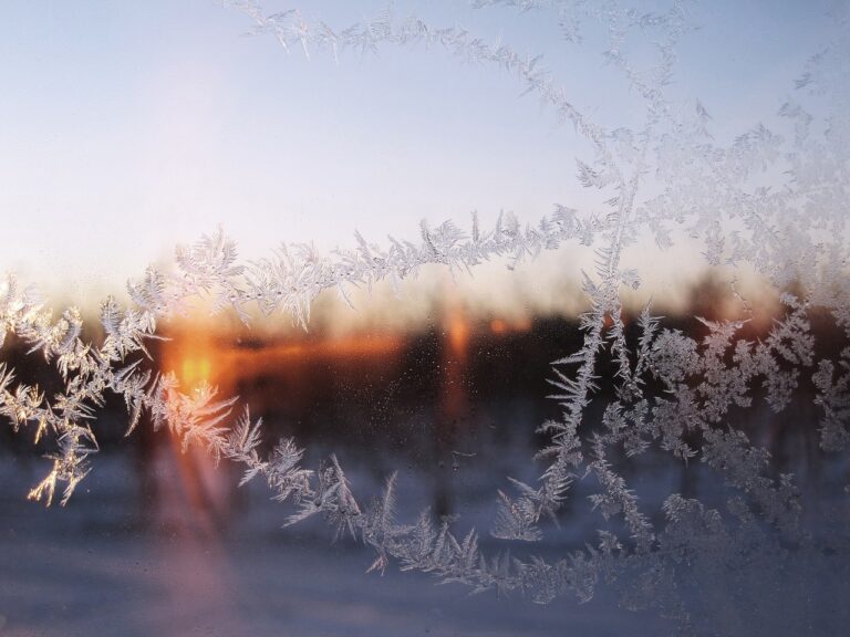Без снігу та морозів: синоптики попередили про аномально теплу погоду на Водохреще в Україні - today.ua