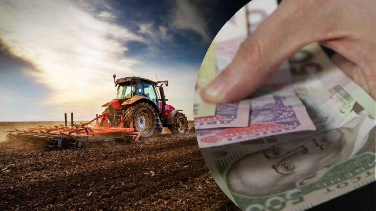 Налог на землю: владельцы каких участков должны заплатить государству минимальный взнос - today.ua