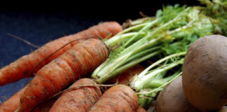 Ціни продовжують зростати: як змінилася вартість томатів, моркви, цибулі та інших овочів - today.ua