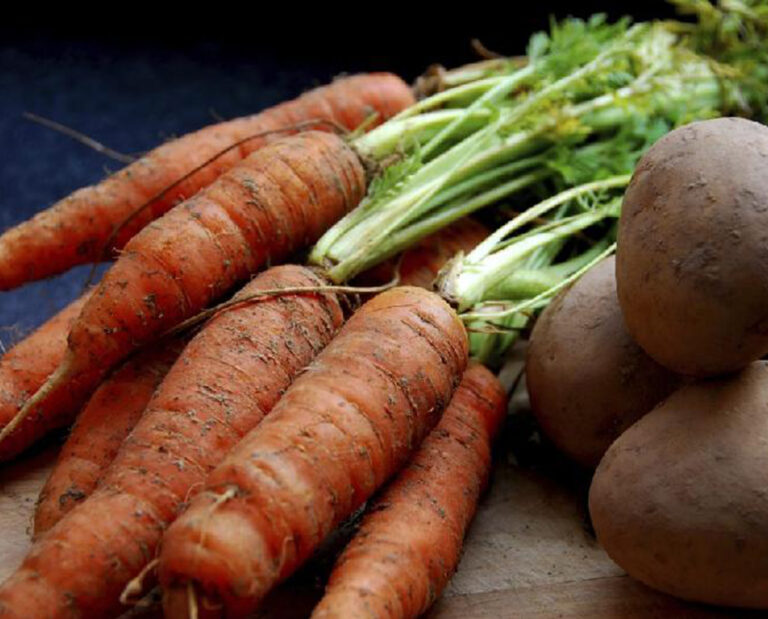 Цены продолжают расти: как изменилась стоимость томатов, моркови, лука и других овощей - today.ua