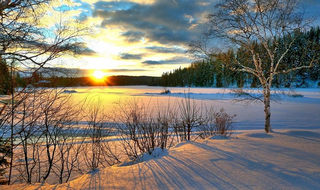 Температура повысится до +15: в Украине на днях ожидается аномальное потепление