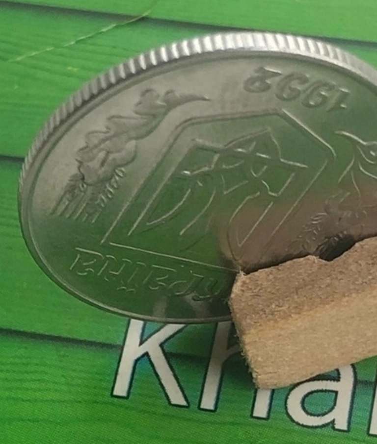 В Україні рідкісну монету номіналом 5 копійок продають за 216 доларів: у чому її особливість 