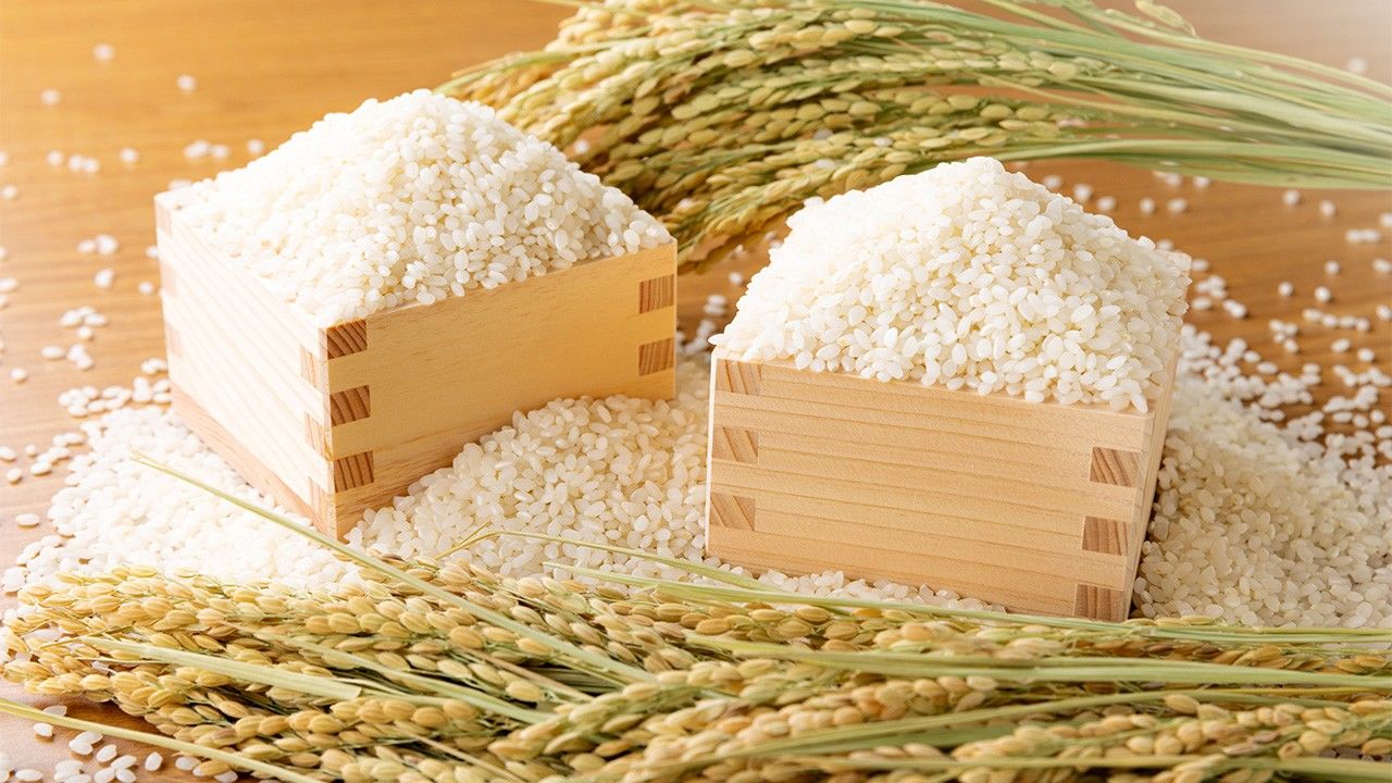 В Украине снизились цены на популярные крупы: сколько стоят гречка, рис и пшено в супермаркетах