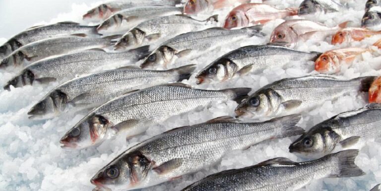 “Воздержитесь от употребления рыбы“: в Минагрополитики предупредили украинцев об опасном продукте на рынке - today.ua