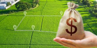 В Україні стартував другий етап аграрної реформи: що відбувається з цінами на землю - today.ua
