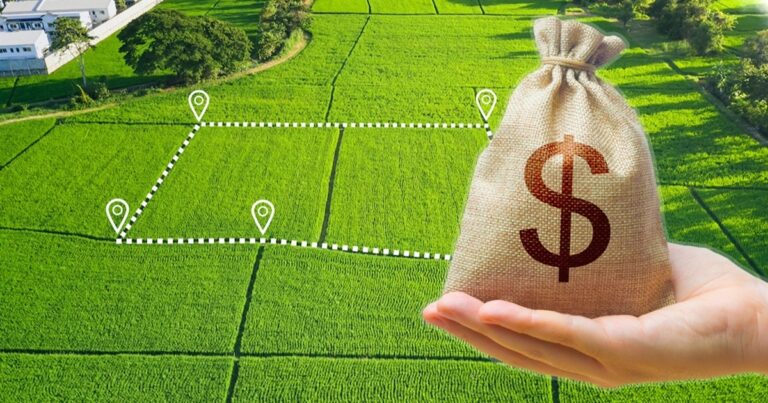 В Україні стартував другий етап аграрної реформи: що відбувається з цінами на землю - today.ua
