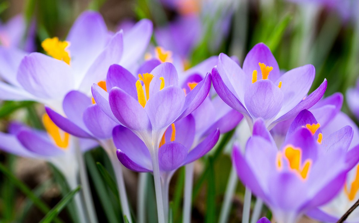 Выше нормы: синоптик рассказала, какой будет погода в Украине весной 2023