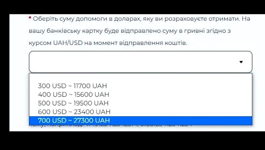 Три категорії українців можуть отримати від 11 700 до 27 300 грн від благодійного фонду