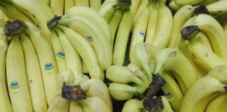 Бананы без пестицидов: как выбрать качественные фрукты по цифрам на наклейке - today.ua