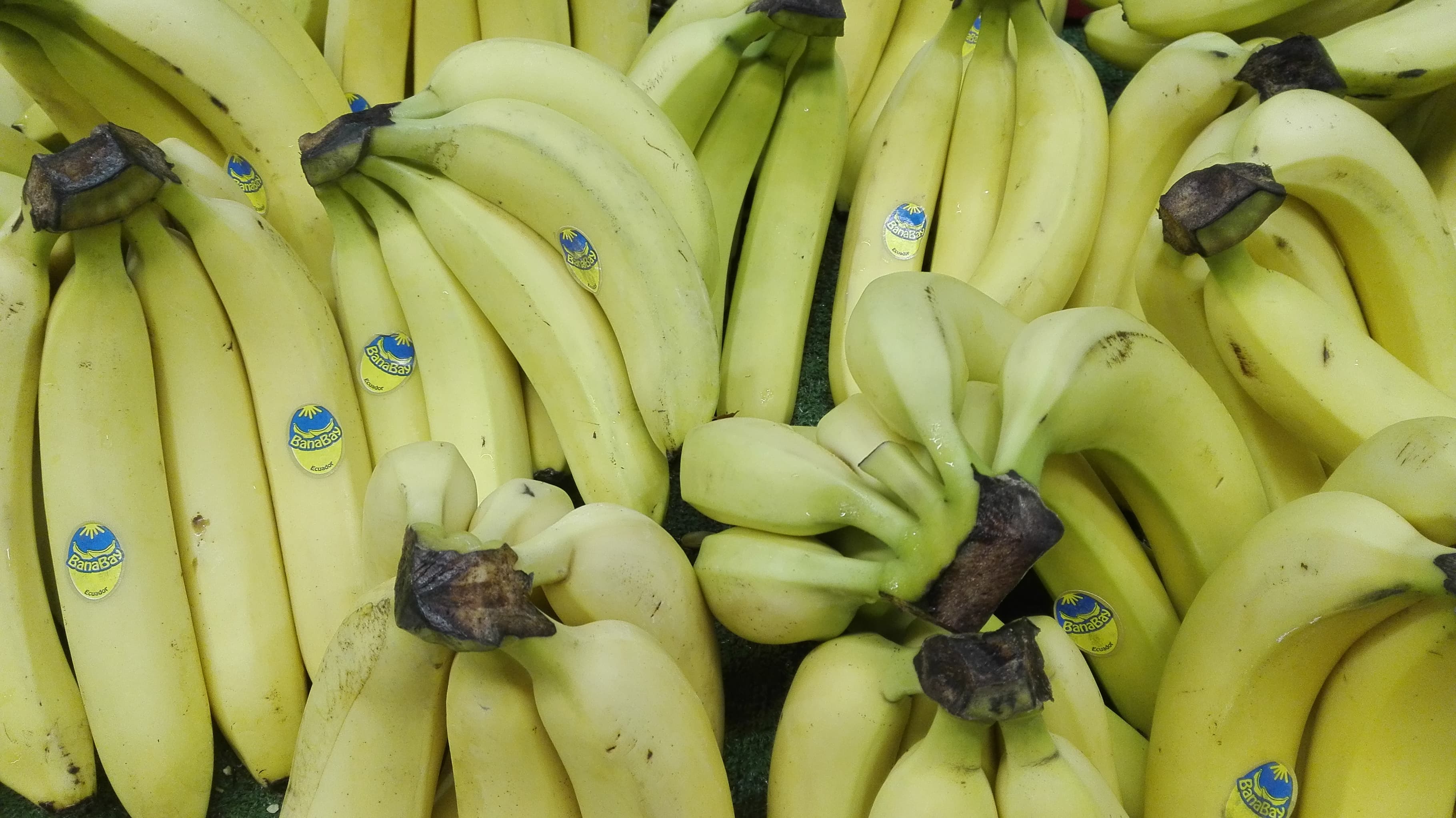 Бананы без пестицидов: как выбрать качественные фрукты по цифрам на наклейке