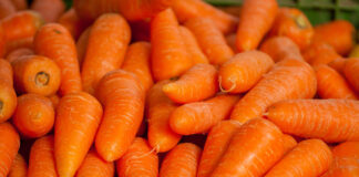 В Україні знизилися ціни на моркву: скільки коштує коренеплід на ринках та в супермаркетах  - today.ua