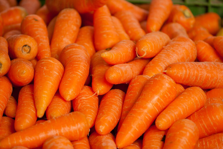 В Україні знизилися ціни на моркву: скільки коштує коренеплід на ринках та в супермаркетах  - today.ua