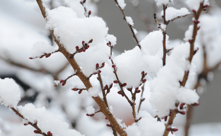 В Украину возвращаются заморозки и снег: синоптики рассказали, где и когда ждать ухудшения погоды - today.ua