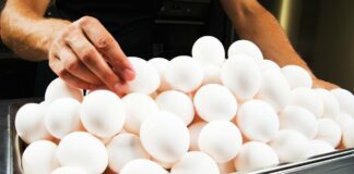 Сколько будут стоить яйца на Пасху 2023 в Украине: аналитики сделали прогноз - today.ua