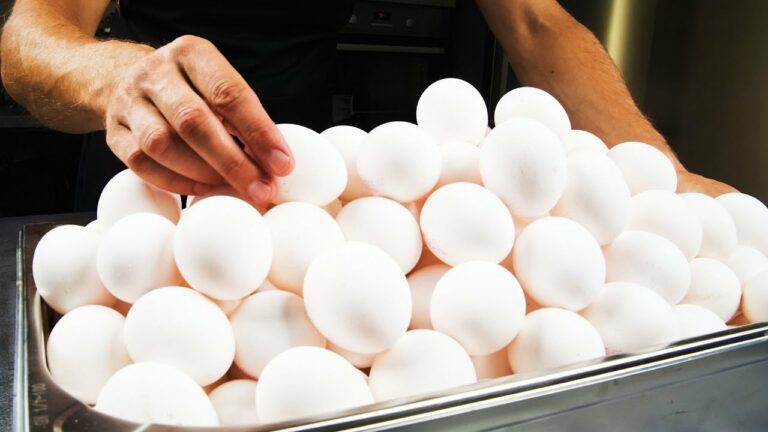 Скільки коштуватимуть яйця на Великдень 2023 в Україні: аналітики зробили прогноз - today.ua
