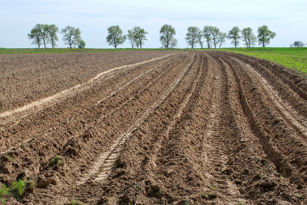 Податок на землю в 2023 році: хто з громадян звільняється від сплати