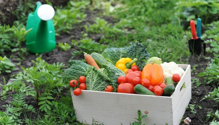 Названы самые урожайные дни марта: когда лучше всего сажать огород - today.ua