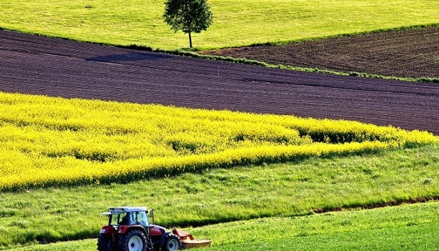 Рынок земли в Украине ждут изменения: кто сможет покупать участки, и что будет с ценами