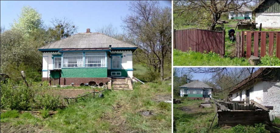 Цегляний будинок із землею за тисячу доларів: де в Україні ще збереглися такі ціни на житло