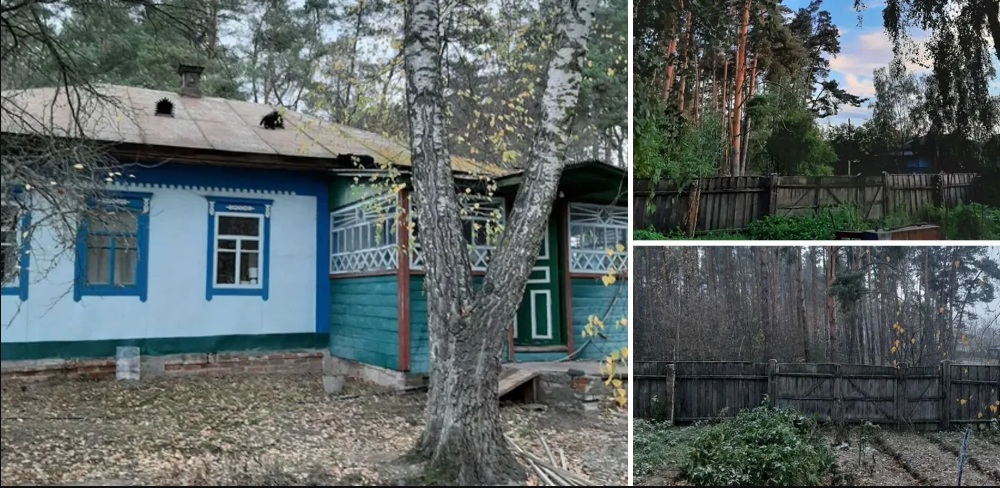 Дом за тысячу долларов рядом с лесом и рекой: в Украине из-за войны появилось много дешевого жилья