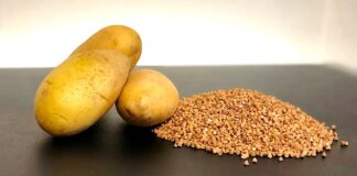 В Україні подешевшали картопля, рис та гречка: скільки коштують продукти у супермаркетах в середині березня  - today.ua