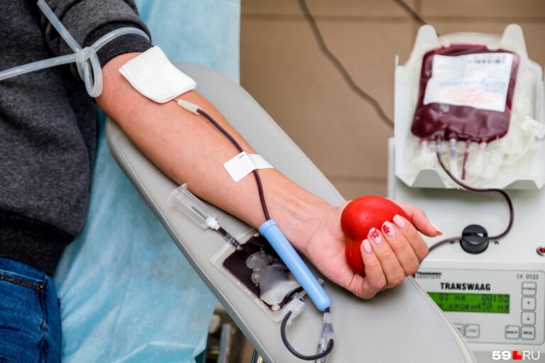 В Украине открыли первый Банк длительного хранения крови - today.ua