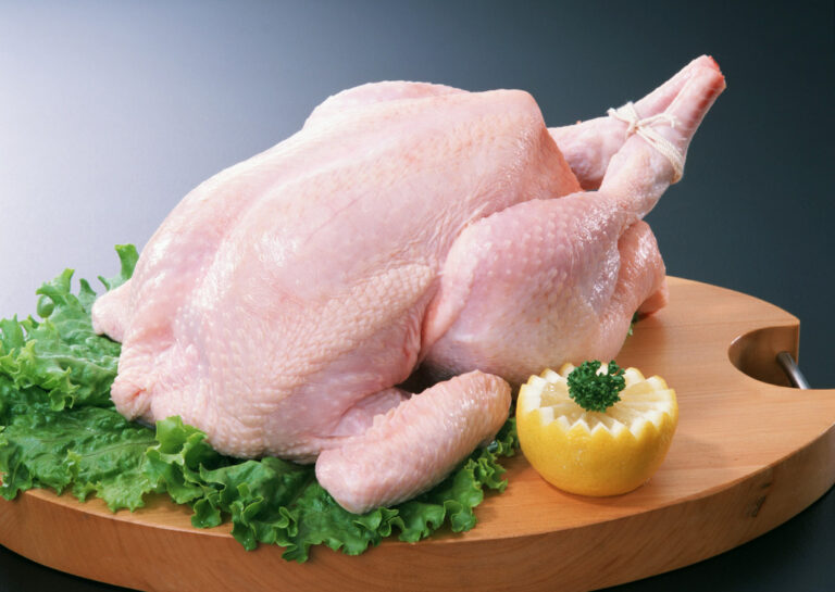 В Україну завезли небезпечну курятину з сальмонелою  - today.ua