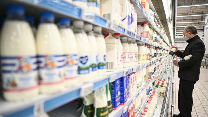 В Украине подешевели молочные продукты: сколько стоят молоко, сметана и творог в супермаркетах - today.ua