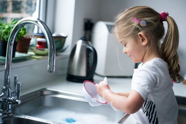 Стало известно, какими натуральными средствами можно заменить вредную химию при мытье посуды 