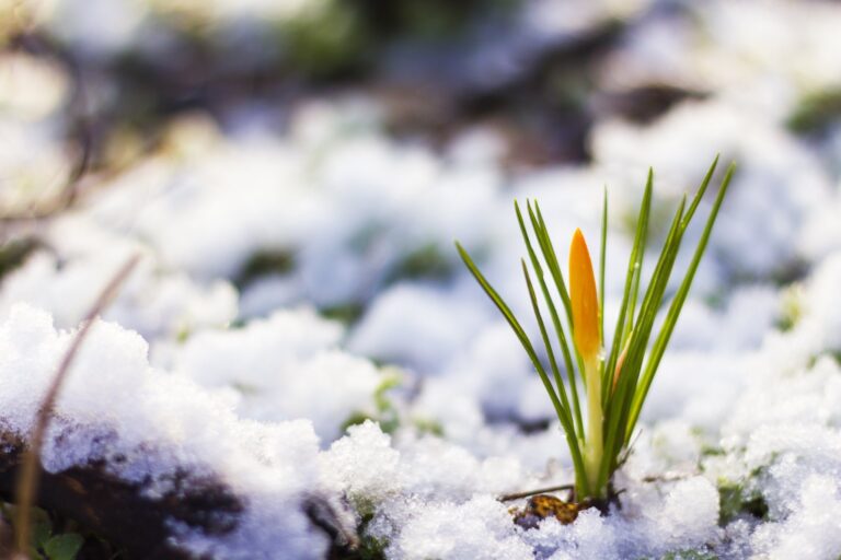 Украину в конце марта засыплет снегом: синоптик рассказала, когда резко ухудшится погода - today.ua
