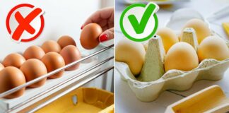 Названы две причины, почему не стоит хранить яйца в холодильнике - today.ua