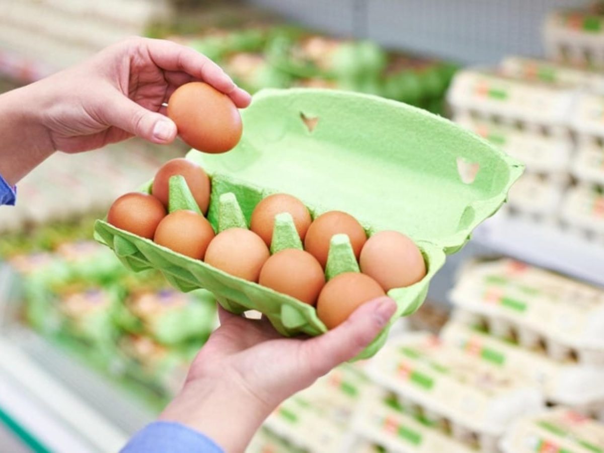 Четыре проверенные способа выбрать свежие яйца, не отходя от прилавка
