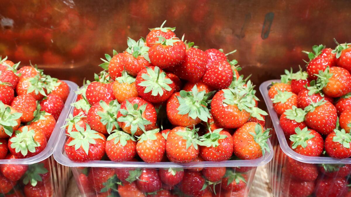 Кращий сусід полуниці: що посадити між кущами для доброго врожаю та захисту від слимаків