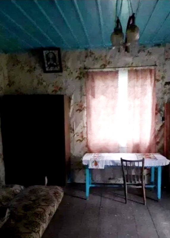 В Україні з'явилося дешеве житло: будинок у Межигір'ї можна купити за 5000 доларів