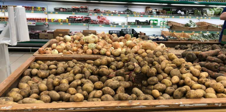 Українські супермаркети знизили ціни на картоплю, буряк, капусту та часник: де овочі купити дешевше - today.ua