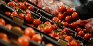 Ціни на помідори б'ють рекорди: мережа супермаркетів в Україні продає овочі по 380 грн/кг - today.ua
