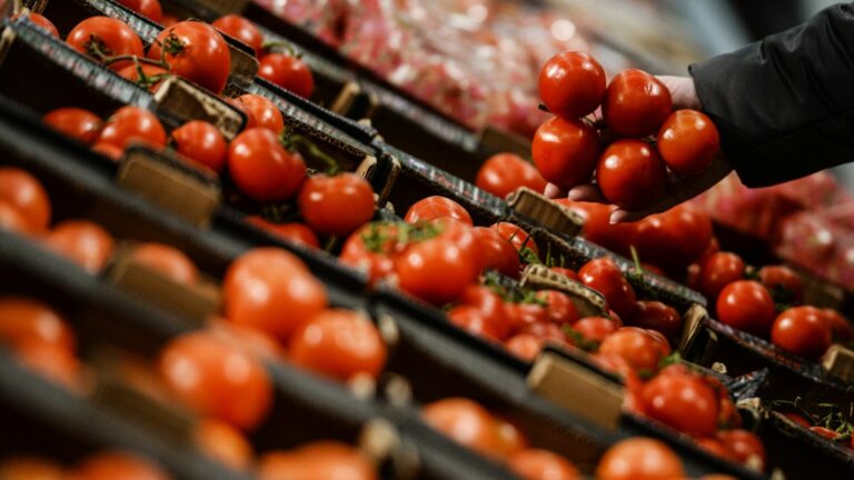 Цены на помидоры бьют рекорды: сеть супермаркетов в Украине продает овощи по 380 грн/кг - today.ua