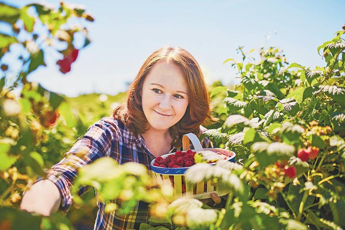 В Україні незабаром буде багато сезонної роботи в аграрному секторі 