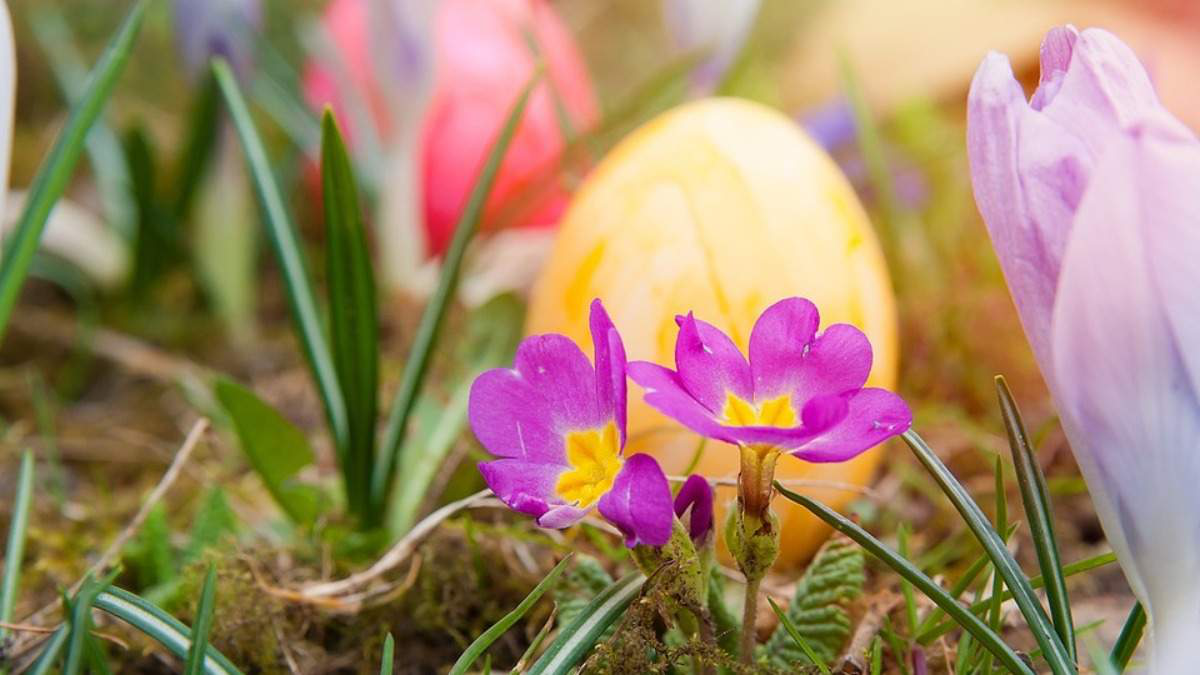 Синоптик рассказала, какая погода ждет украинцев в Страстную Пятницу и на Пасху: прогноз до конца недели