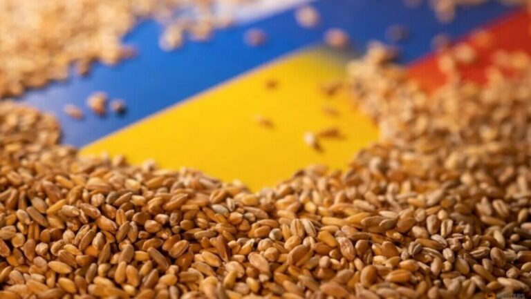 Заборона на експорт зерна в країни Європи: Україна втратить робочі місця і гроші - today.ua